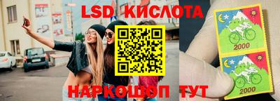 мдма Камышлов