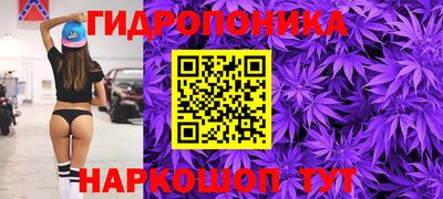 мдма Камышлов